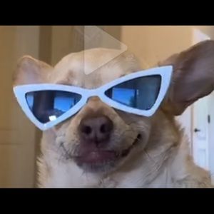 Meet your Posher, Asia